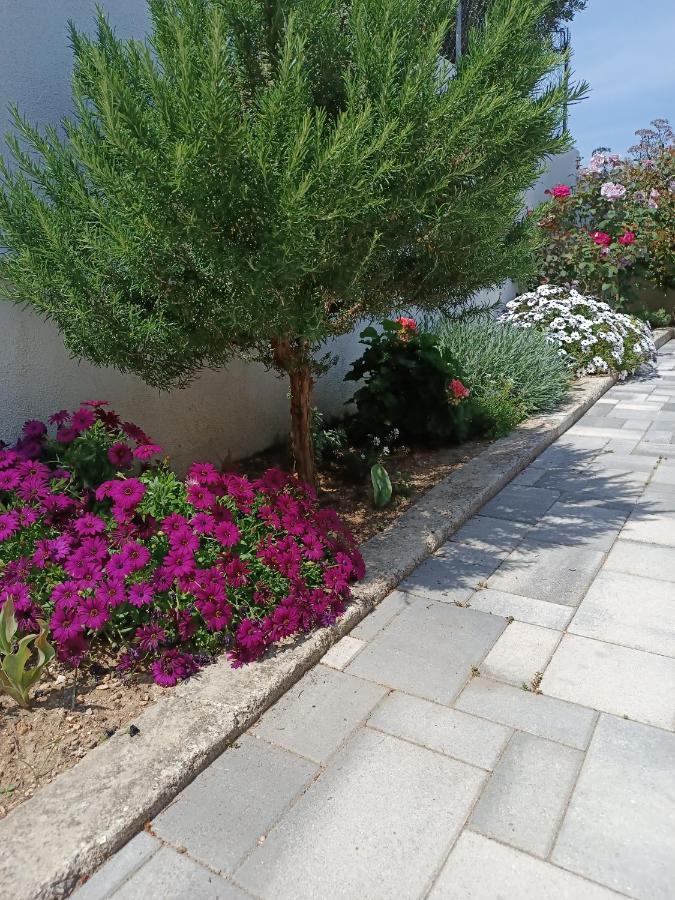 Tonina - House With Terrace, Jacuzzi, Free Parking Apartment Split Bagian luar foto